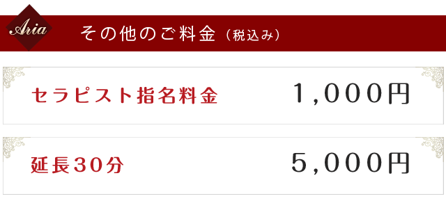 「料金システム」